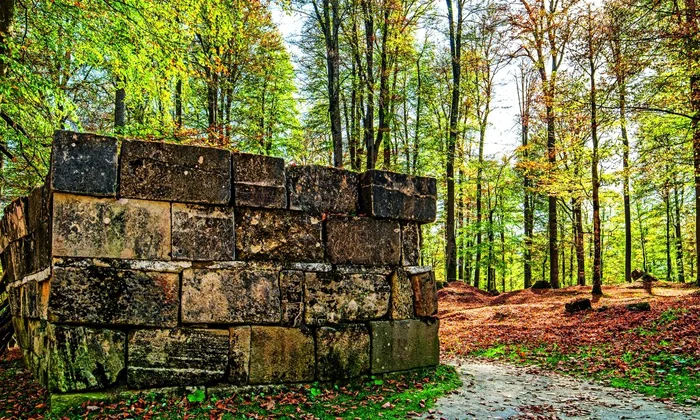 Patrimoniu în pericol! Cetăţile dacice, distruse de braconierii arheologici jpeg