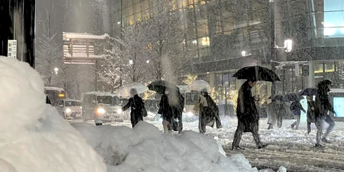 Zăpadă în Japonia FOTO Twitter