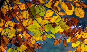 meteo toamna foto pixabay