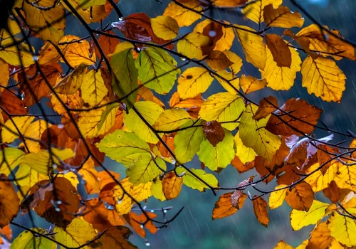 meteo toamna foto pixabay