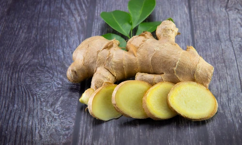 1 shutterstock 1484522300 jpg jpeg