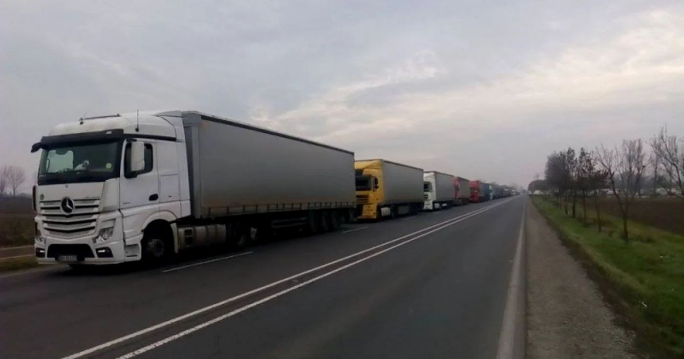Cozi in Vamile din Vestul ţării