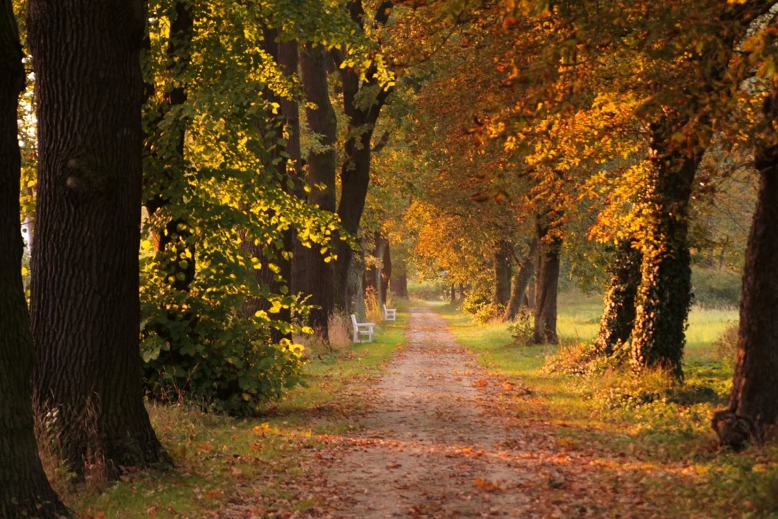 Vremea din octombrie va aduce temperaturi normale pentru perioada de toamnă FOTO: Pixabay