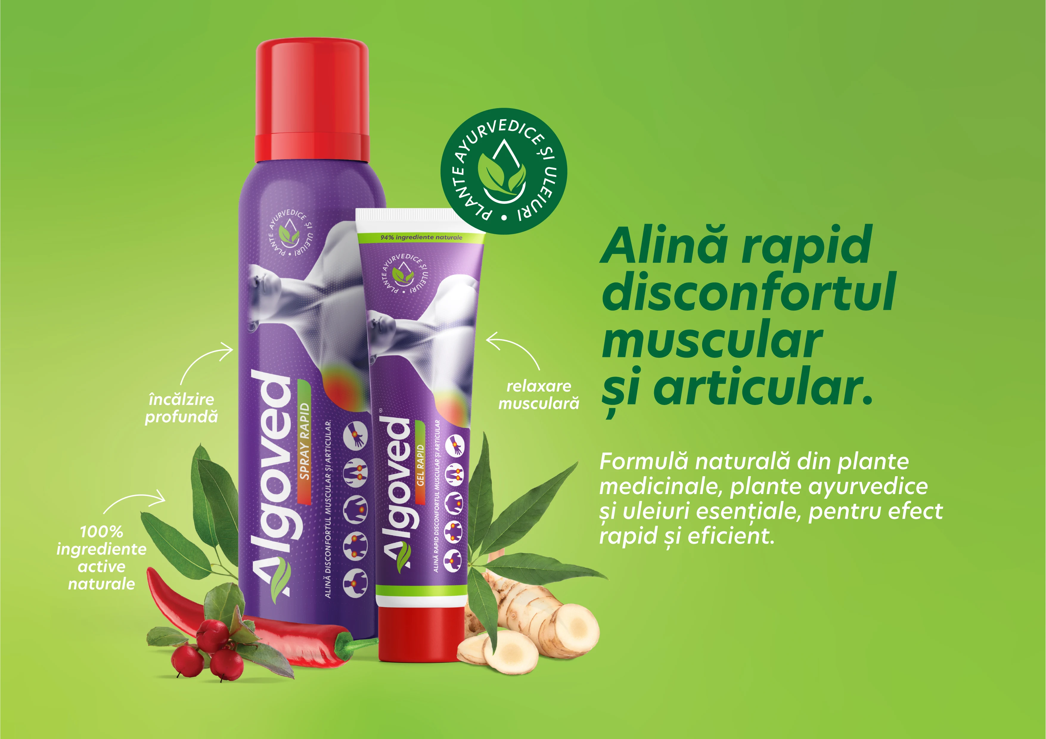 Genunchiul care doare dimineața, spatele blocat după birou, glezna care nu se vindecă. De ce același gel nu ajută la fel pe toată lumea