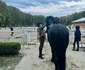 Elena Basescu adora calaria si ii invata si pe copii sa iubeasc echitatia Instagram (18) jpg