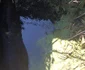 Imagini cu taurul salvat din bazinul cu apă din Creţeni - Vâlcea Foto ISU Vâlcea
