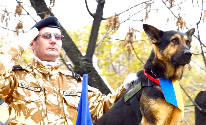 Max suferă de o boală rară de inimăFoto Flickr