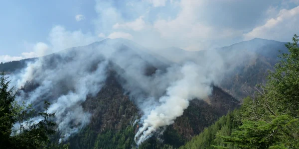incendiu borsa