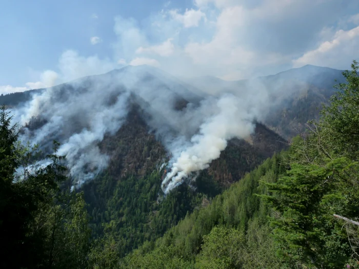 Incendiul de pe vârful Toroioaga, la un pas de lichidare Foto: Adevărul