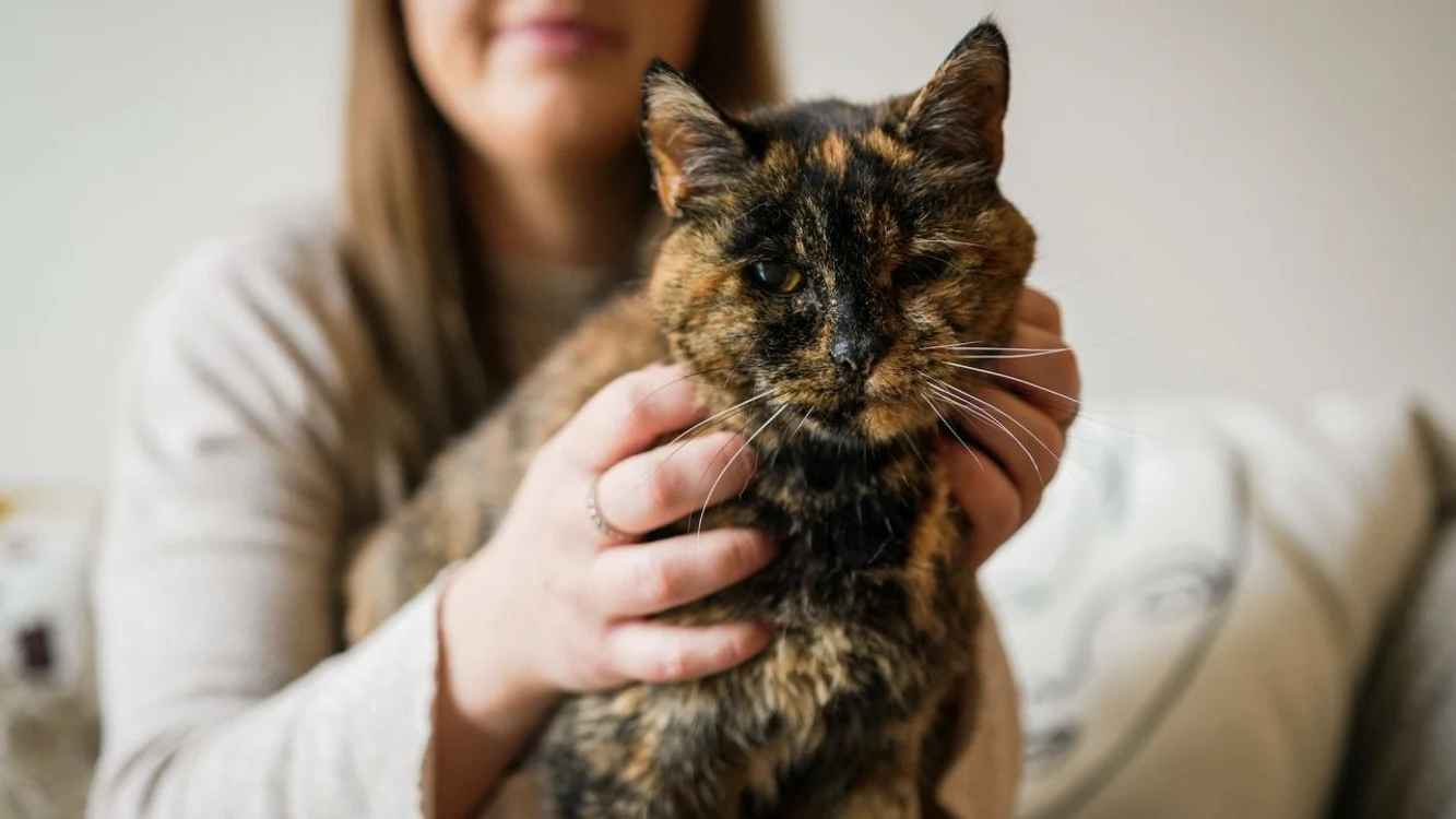 Foto: Cats Protection/Guinness World Records