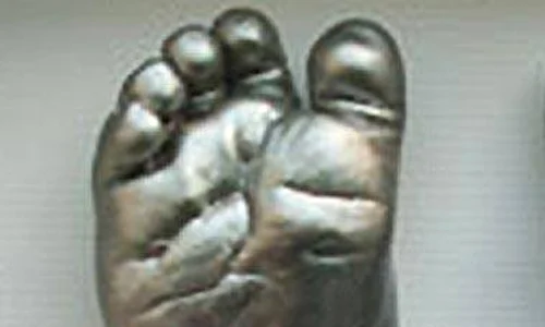 snn0103foot   380s 1352790a jpeg