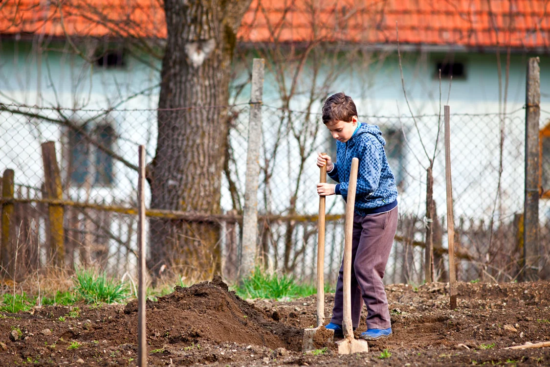 Mulţi învaţă  să folosească  lopata de la  vârste fragede