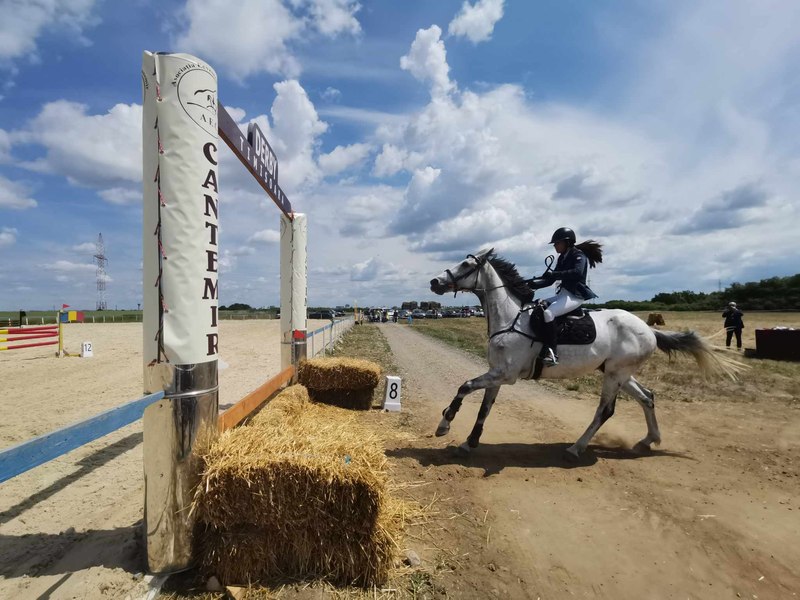 Premieră pentru sportul ecvestru din Timișoara: prima probă de derby-jumping VIDEO FOTO 