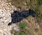 Rămășițele unui craiovean dispărut pe munte găsite după două luni în Buila Vâlcea Foto Mircea Lera