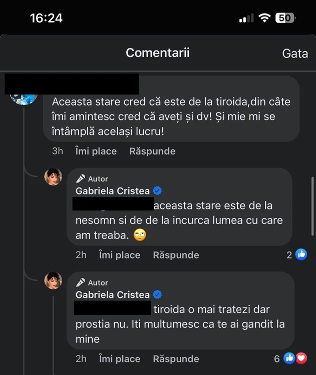 Gabriela Cristea, scoasă din sărite de un comentariu / foto: Captură Facebook