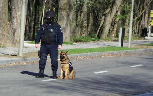 Ziua Jandarmeriei Vrancea