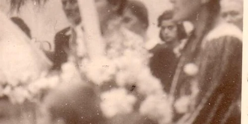 ecaterina gata