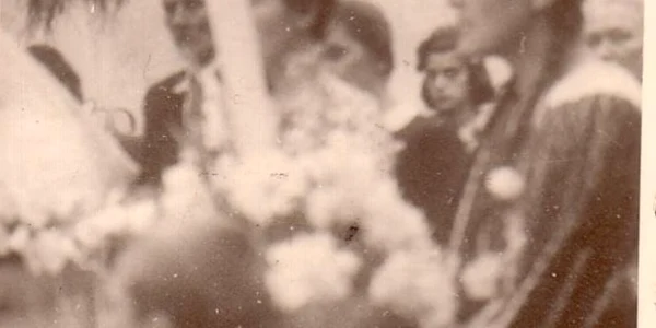 ecaterina gata