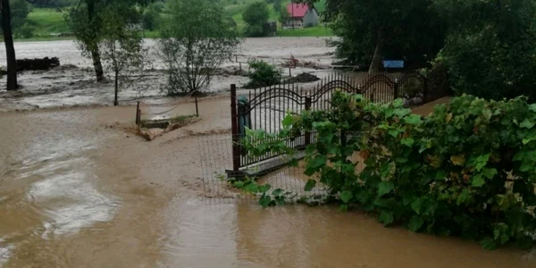 hunedoara viituri isu hunedoara