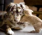 Oricine are nevoie de o îmbrăţişare  jpeg