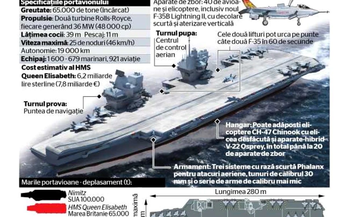 regina infografie