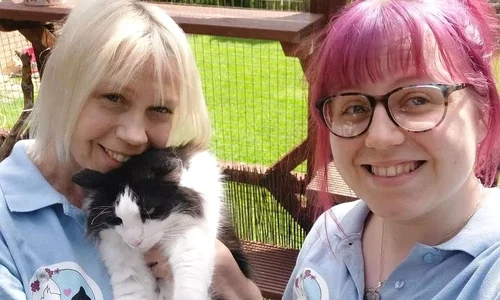 karen cat community jpg
