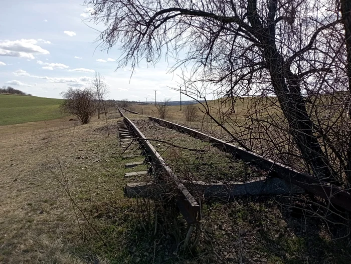 Calea ferată către Drăgușeni FOTO Cosmin Zamfirache