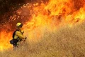 incendiu vegetatie jpeg