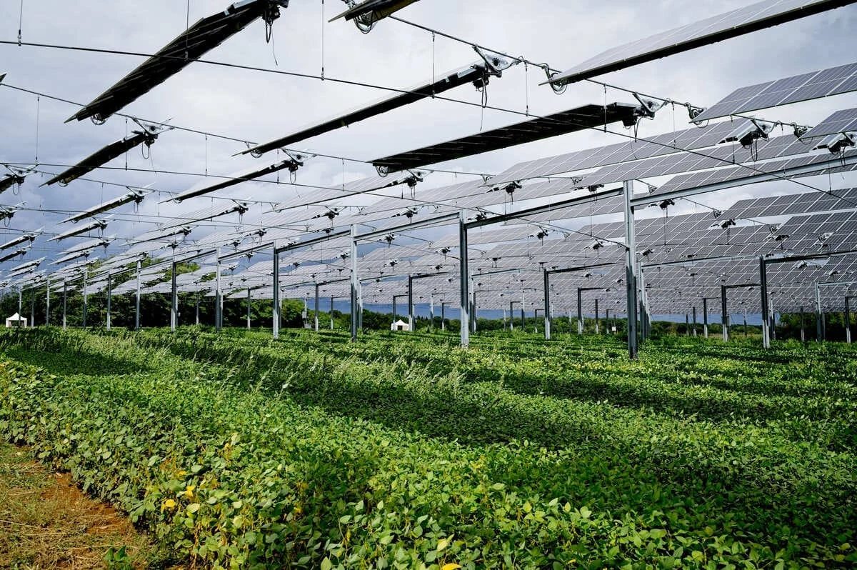 Fotovoltaice în agricultură. Ce criterii trebuie să îndeplinească fermierii pentru a primi finanțarea nerambursabilă