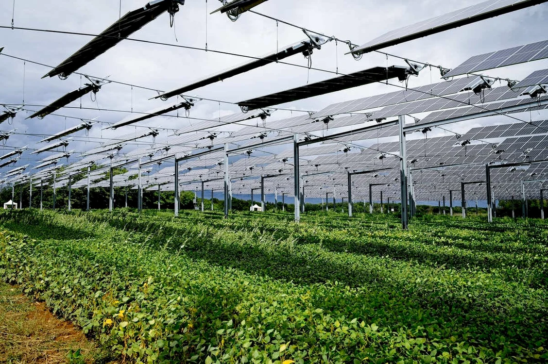 Fotovoltaice în agricultură