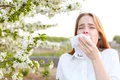 Alergiile sezoniere Foto Yale Health jpg