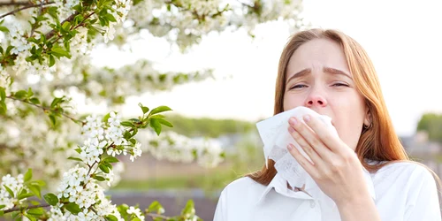 Alergiile sezoniere Foto Yale Health jpg