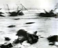 historia ro undefined jpeg