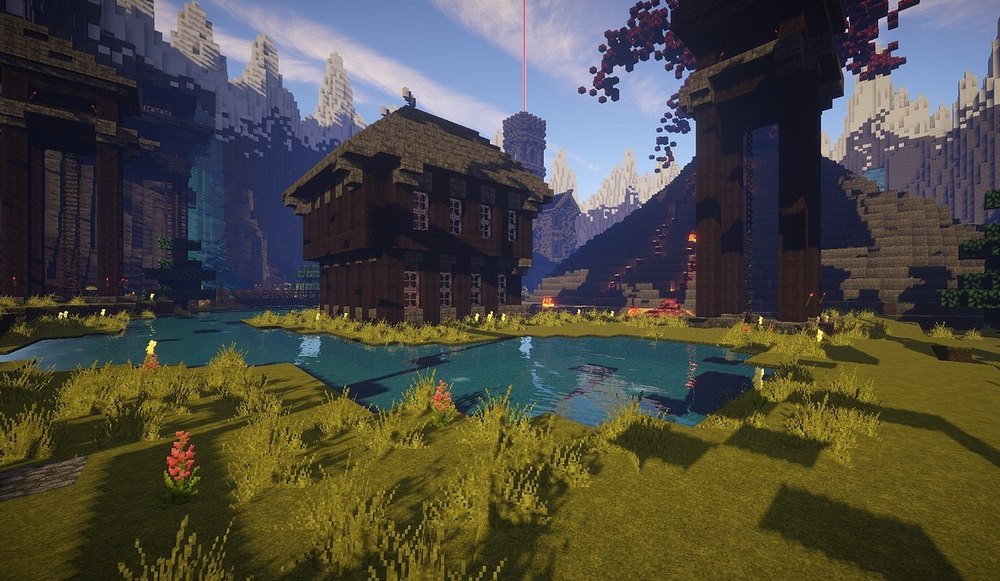Doi elevi de liceu se jucau Minecraft, dar doar unul avea card bancar. Rezultatul: operațiuni ilegale și un dosar penal