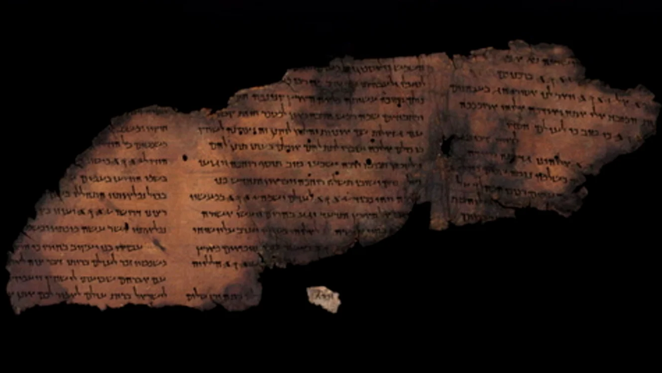 Fragment din manuscrisul Voynich. Sursă foro: Live Science
