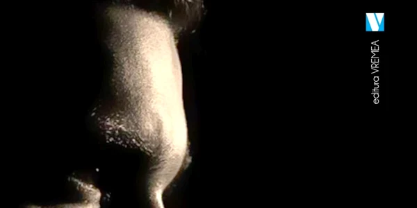 Seducatorul coperta