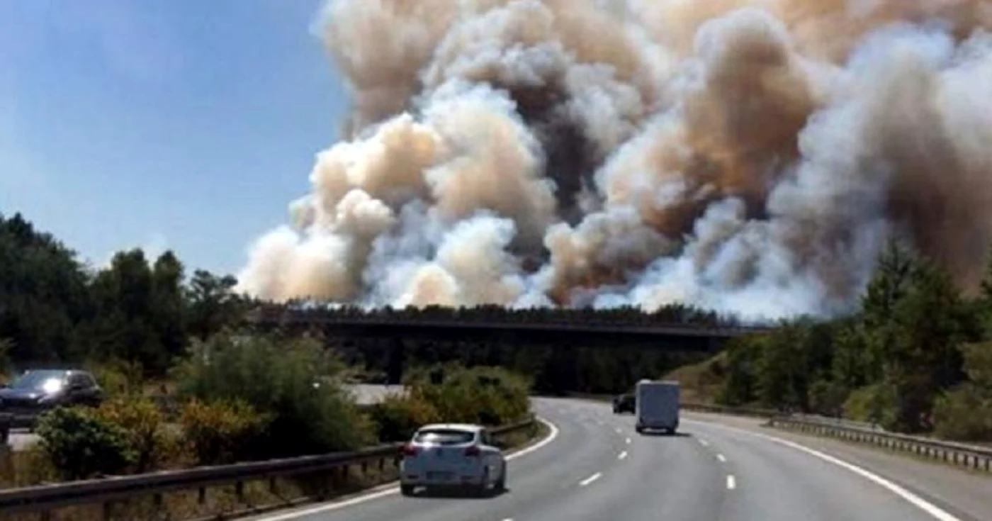 incendiu germania in apropiere de berlin Foto Twitter