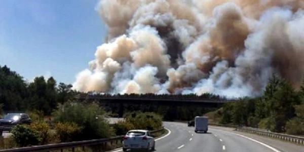 incendiu germania in apropiere de berlin Foto Twitter