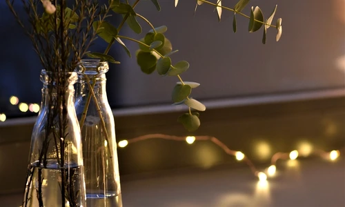 2 beneficiile eucaliptului ce afectiuni trateaza jpg jpeg