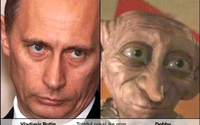 Putin Dobby FOTO Twitter BenAris