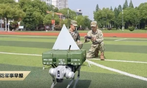 caini roboti china jpg