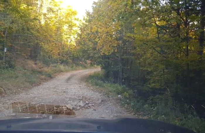 Drumul de munte către Vârful Cozia - spre cabană şi Releu - Vâlcea Foto Sebastian Stoica