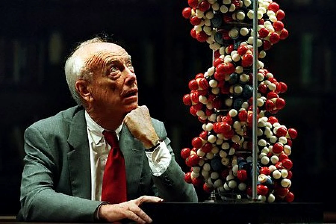 James Watson unul dintre cei care au descoperit structura ADN. FOTO prowhiteparty.files.wordpres