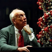 James Watson. FOTO prowhiteparty.files.wordpres