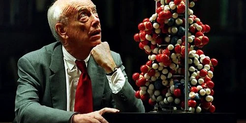 James Watson. FOTO prowhiteparty.files.wordpres