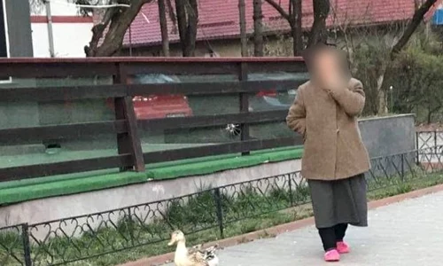 batrana cu rata la plimbare jpeg