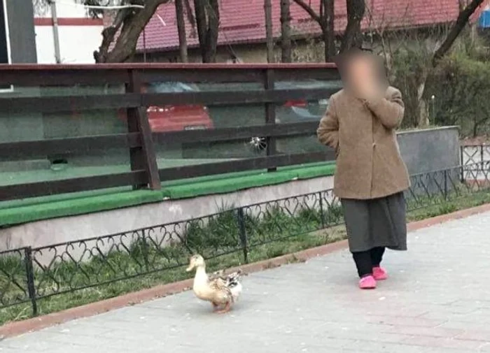 O femeie din Botoșani a ieșit cu rața la plimbarefoto: Monitorul de Botoșani