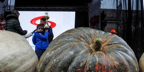 Festivalul Dovleacului de la Kikinda