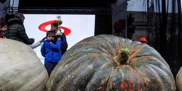 Festivalul Dovleacului de la Kikinda