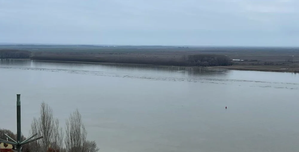 Dunărea îi provoacă pe cei doi înotători